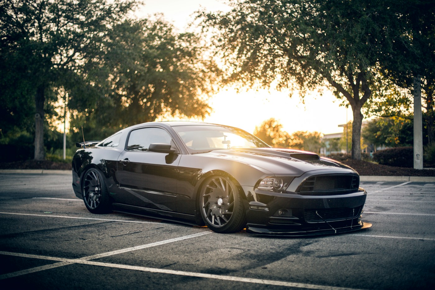 Black sports coupe with tinted windows in warm afternoon light